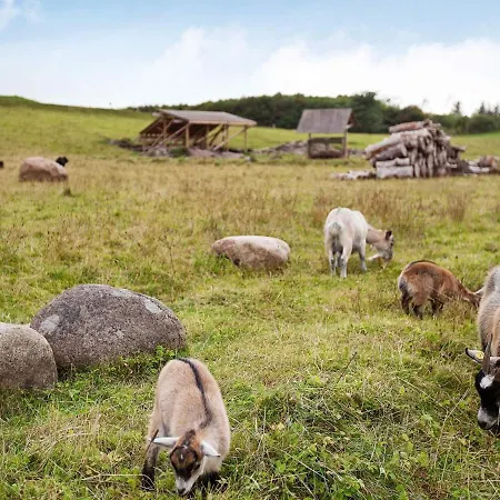 Holiday Cx * Hanstholm